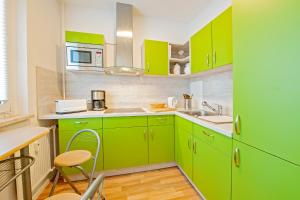 a green kitchen with green cabinets and a sink at Ferienwohnung 131 in Annaberg-Buchholz