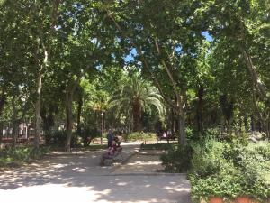 Ein Garten an der Unterkunft Ever House - ALCALA DIVA 1 ROOFTOP