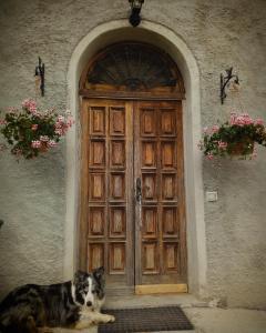 Ciuchi House في Cantalupo Ligure: كلب جالس امام باب خشبي