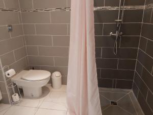 a bathroom with a toilet and a shower with a shower curtain at ANSE DES ROCHERS St François CORAIL 306 in Saint-François +12 photos