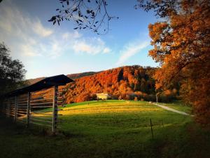 a field with a barn in the middle of a park at Divine Lake House in Motnik