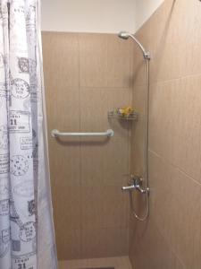 a bathroom with a shower with a shower curtain at Salamandra Apartamentos in El Calafate