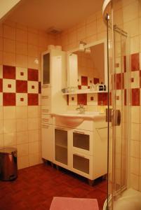 La petite salle de bains est pourvue d'un lavabo et d'une douche. dans l'établissement Farm Stay Rotovnik - Plesnik, à Slovenj Gradec