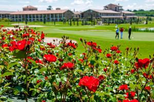 Golf v apartmánu nebo okolí