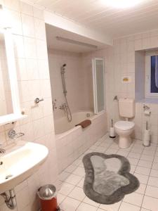 a bathroom with a toilet and a shower and a rug at Ferienwohnung Obhausen bei Querfurt in Obhausen