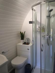 uma casa de banho com um WC e um chuveiro em Tomatin Glamping Pods em Inverness