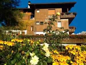 Zahrada ubytování Hotel Giardino