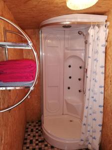 a small bathroom with a shower and a toilet at Almland Hütte in Pusterwald