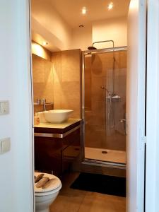La salle de bains est pourvue d'une douche, d'un lavabo et de toilettes. dans l'établissement SW Cosy Apart - Chambly Persan Roissy, à Persan