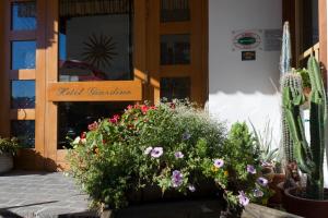Zahrada ubytování Hotel Giardino