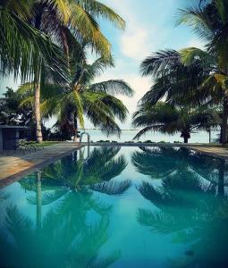 una piscina con palmeras y el océano en Villa Setha Wadi, en Kalpitiya