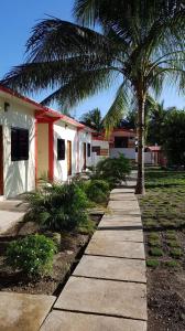 un trottoir devant une maison avec un palmier dans l'établissement KJ Danish Inn, à Garcia Hernandez