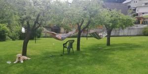 Zahrada ubytování Apartma Arh