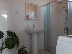 un bagno con lavandino e doccia di Cabernet Tali a Telavi