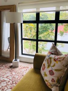 克尼斯納的住宿－African Flame Apartment，带沙发和大窗户的客厅