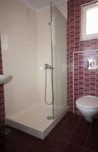 a bathroom with a shower and a toilet at Cosmos Apartments in Vasiliki