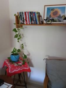 a table with a plant on it with a book shelf at Beit Haner Moshav Dor in Dor