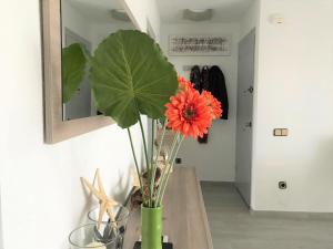 Fotografie z fotogalerie ubytování Con gran terraza y vistas al mar 127B -INMO22 v destinaci Cambrils