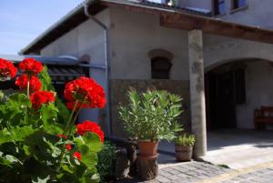ein Haus mit roten Blumen davor in der Unterkunft Dabasi Lovas Vendégház in Dabas