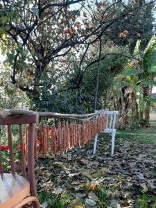 Giardino di Cabernet Tali