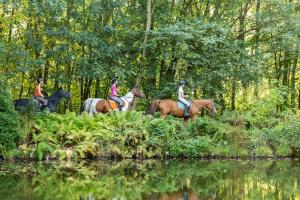 Gallery image of Rancho Ślężański Młyn in Szczepanów