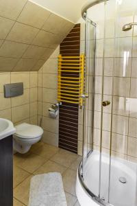 a bathroom with a shower and a toilet and a sink at Noclegi u Kiesza in Ustrzyki Dolne