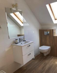 a bathroom with a toilet and a sink and a mirror at Gospodarstwo Agroturystyczne Kozłowiec in Dziemiany