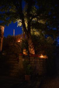 Zahrada ubytování Agriturismo Colle Tocci