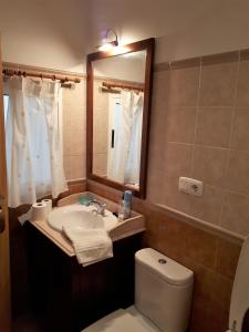 a bathroom with a sink and a toilet and a mirror at Apartamentos San Juan 16 in Archidona