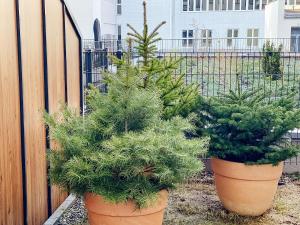 Vonkajšia záhrada v ubytovaní ONE Apartamenty Gąsiorowskich 4