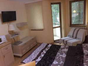 Afbeelding uit fotogalerij van Villa Park Luxury Studio in Borovets