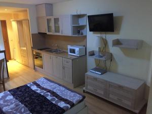 Afbeelding uit fotogalerij van Villa Park Luxury Studio in Borovets +17 foto's