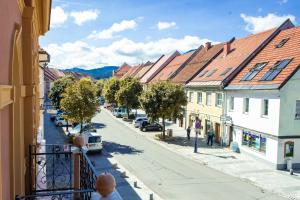 Afbeelding uit fotogalerij van Hotel Vila Pohorje in Slovenj Gradec