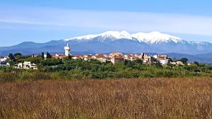 une ville sur une colline avec des montagnes enneigées en arrière-plan dans l'établissement Mas Natura, à Banyuls-dels-Aspres