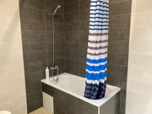 Kúpeľňa v ubytovaní Comfortable renovated flat, WiFi!