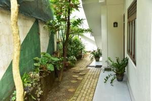 Taman di luar Relax Inn Hikkaduwa