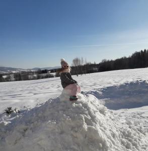 Domek Pod Holicą Bieszczady v zime