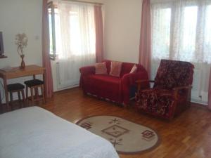 a living room with a red couch and a chair at Pensiunea Nicky in Oeștii Ungureni