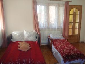 a bedroom with two beds and a window at Pensiunea Nicky in Oeștii Ungureni