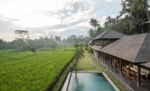 a villa with a swimming pool next to a rice field at Benisari Batik Garden Cottage in Ubud
