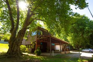 a house with a tree in front of it at Kings Lodge Hotel in Hogsback