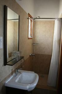 a bathroom with a sink and a shower with a mirror at The Bunch Of Grapes Inn in Pissouri