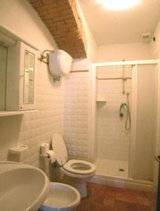 ein Bad mit einem WC, einem Waschbecken und einer Dusche in der Unterkunft Agriturismo Bellavista in Radicondoli