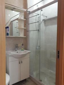 a bathroom with a glass shower and a sink at Ann's Apartment in Tbilisi City