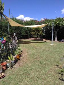 a tent in a yard with some plants at Villa Adelina in Porto Columbu - Perdʼe Sali