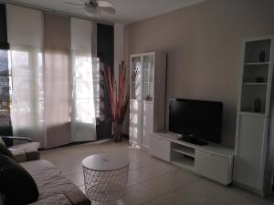 TV a/nebo společenská místnost v ubytování Apartamento Arena