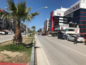 a palm tree on the side of a street at Medi Otel in Samsun