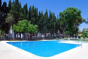 duży błękitny basen z drzewami w tle w obiekcie Apartamento Rocio Torremolinos w mieście Torremolinos