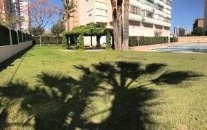 a shadow of a tree on the grass in a park at Apartment In Poniente Beach in Benidorm