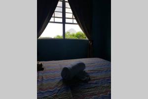 Domácí mazlíčci ubytovaní s hosty v ubytování Comfort Suites